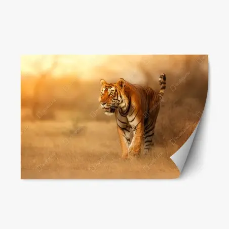 Sticker repositionnable tigre majestueux au coucher de soleil – Wallnifity®