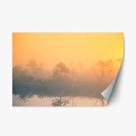 Sticker repositionnable brume d'aube sur le marais – Wallnifity®