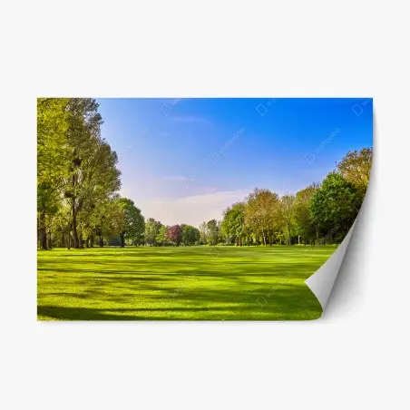 Sticker repositionnable panorama de parc ensoleillé – Wallnifity®