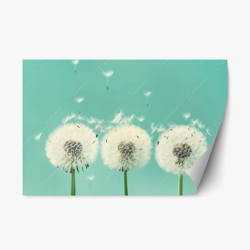 Fleurs et plantes – Wallnifity®