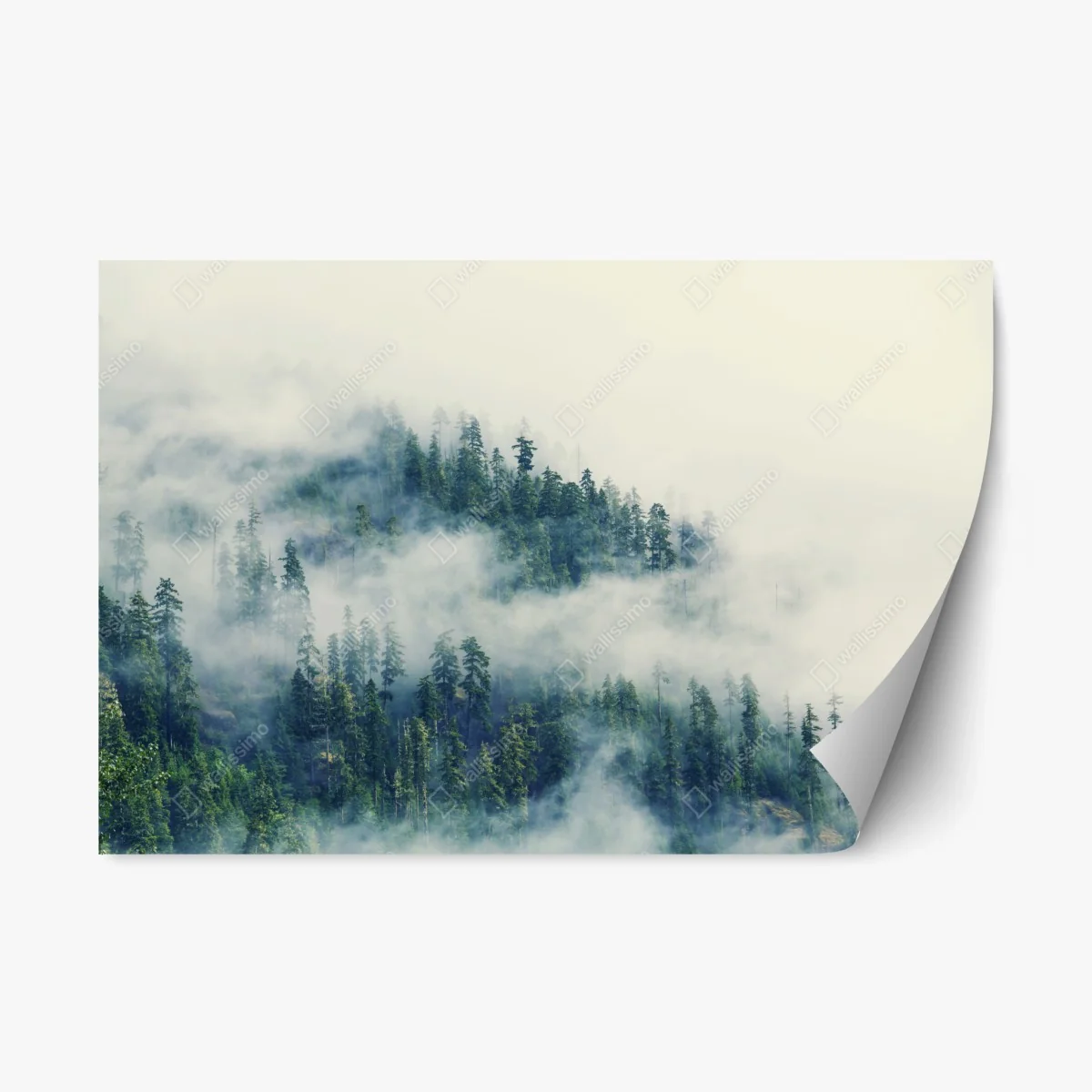 Sticker repositionnable forêt brumeuse enchantée – Wallnifity® Sticker repositionnable forêt brumeuse enchantée – Wallnifity®