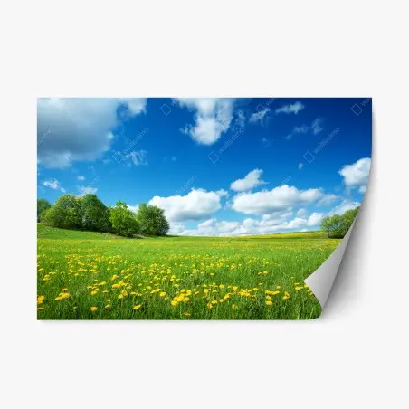 Sticker repositionnable prairie de pissenlits sous ciel bleu – Wallnifity®