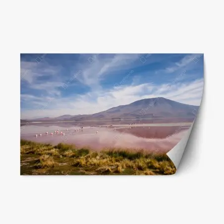 Sticker repositionnable lagune rose des Andes en Bolivie – Wallnifity®