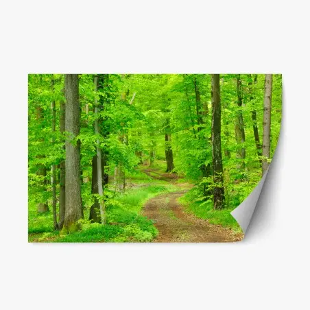 Sticker repositionnable sentier verdoyant en forêt – Wallnifity®