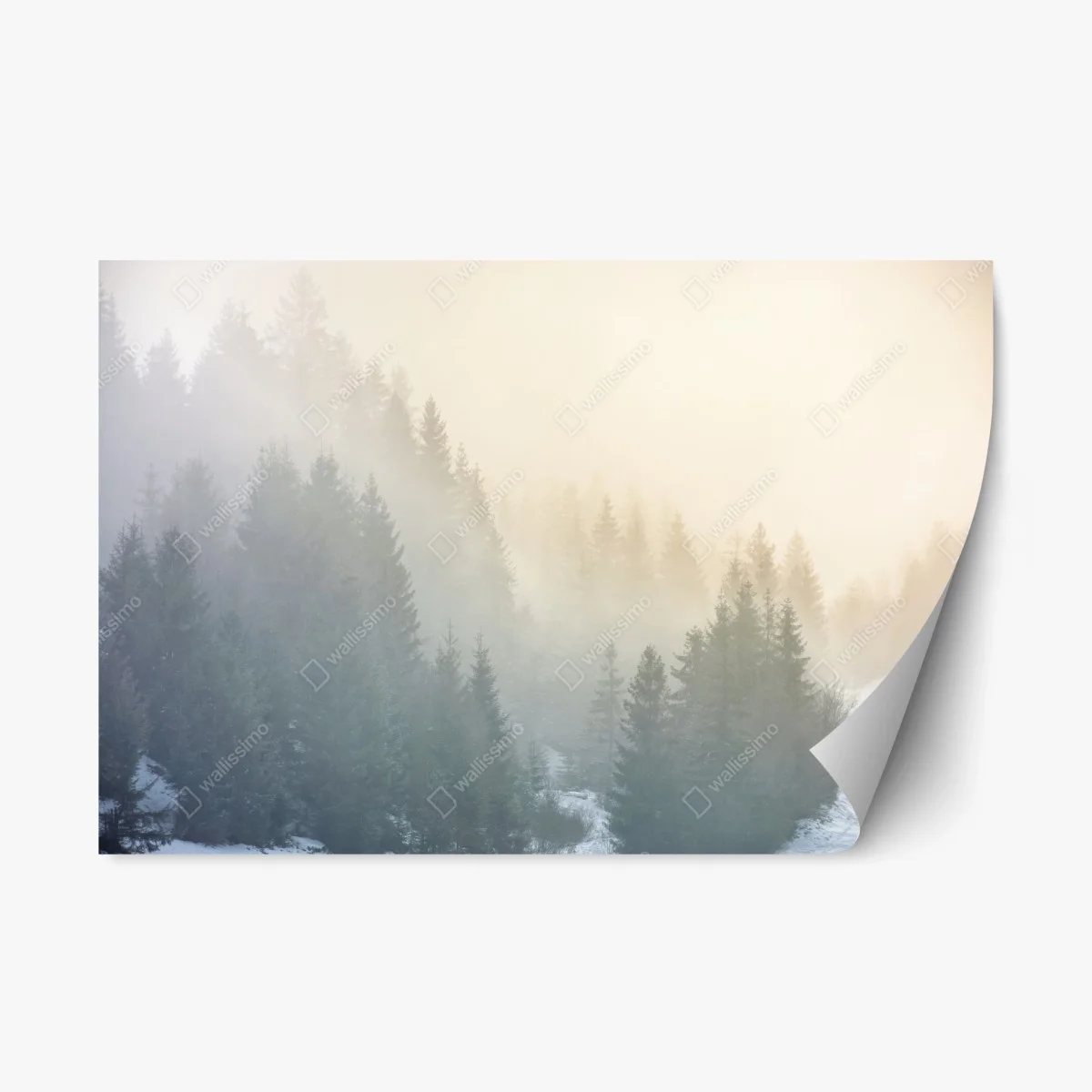 Sticker repositionnable brume matinale sur la forêt d'épicéas – Wallnifity® Sticker repositionnable brume matinale sur la forêt d'épicéas – Wallnifity®