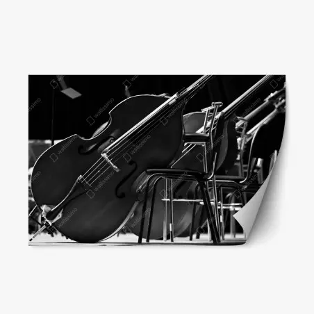 Sticker repositionnable silhouettes de contrebasses sur scène en noir et blanc – Wallnifity®