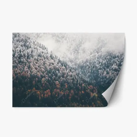 Sticker repositionnable paysage forestier automnal et enneigé – Wallnifity®