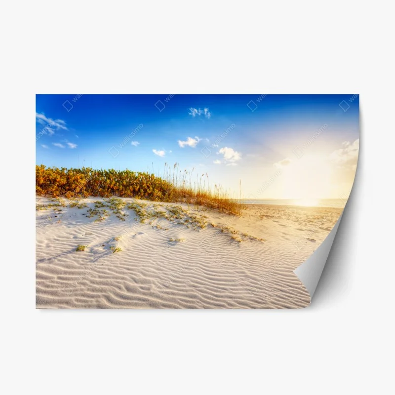 Nature – Wallnifity®