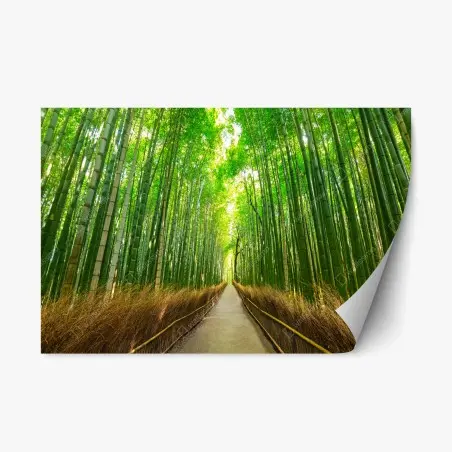 Sticker repositionnable allée de bambous d'Arashiyama, Kyoto – Wallnifity®