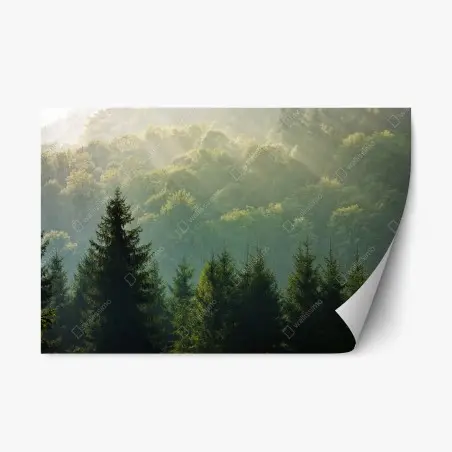Sticker repositionnable brume matinale sur les Carpates – Wallnifity®
