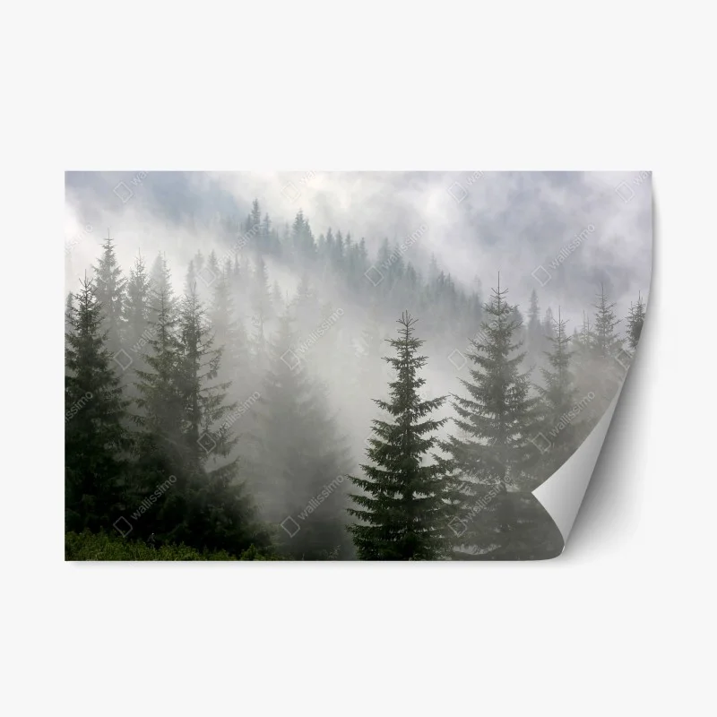 Nature – Wallnifity®