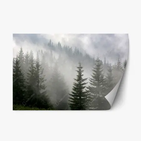 Sticker repositionnable forêt de pins dans la brume matinale – Wallnifity®