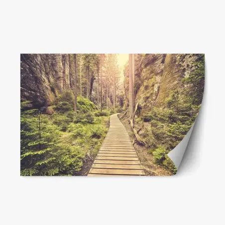 Sticker repositionnable sentier boisé vintage à Adrspach Teplice – Wallnifity®