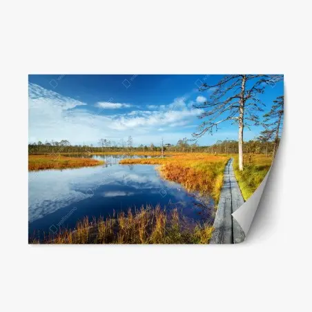 Sticker repositionnable passerelle au bord du marais automnal – Wallnifity®