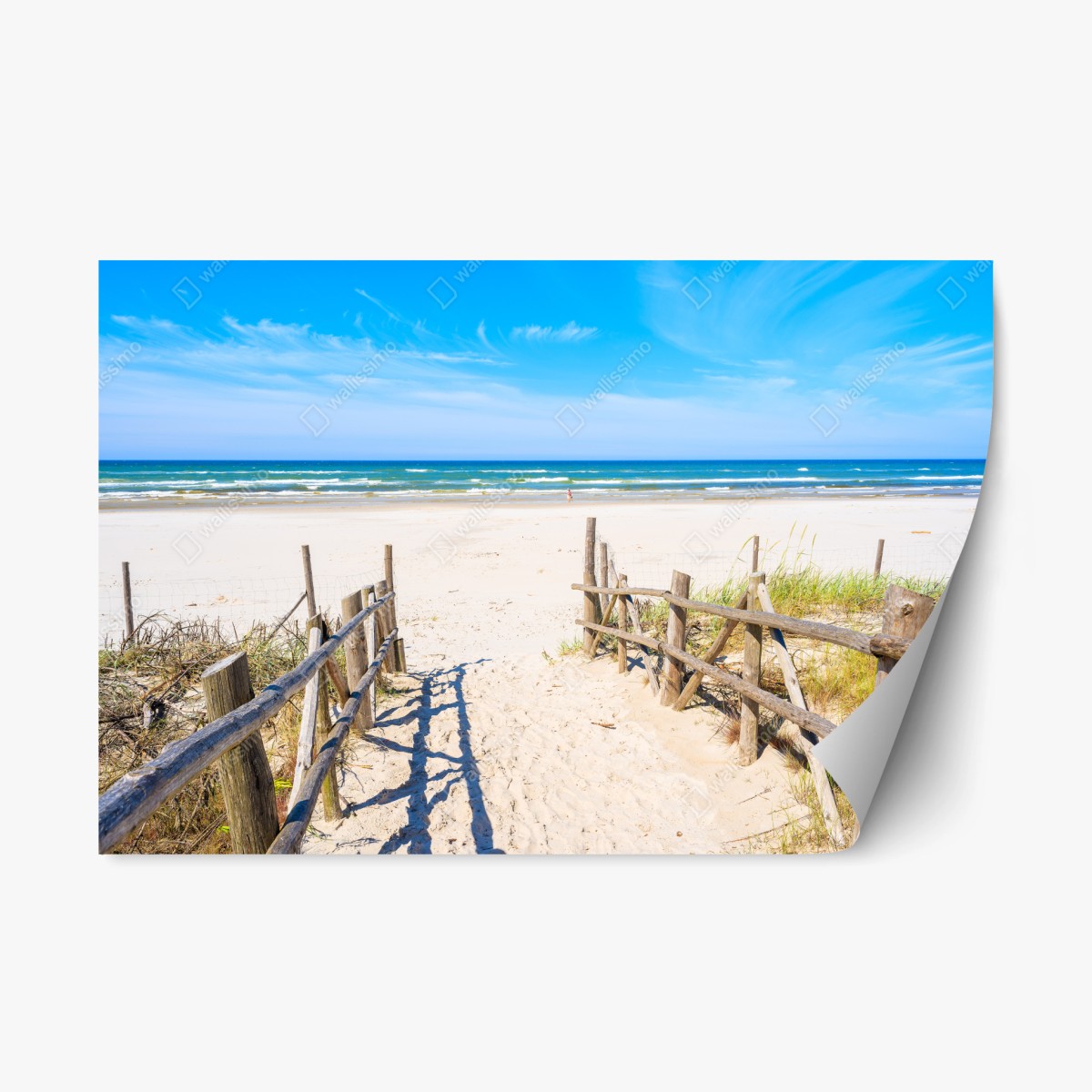 Sticker repositionnable entrée vers la plage de Debki – Wallnifity®