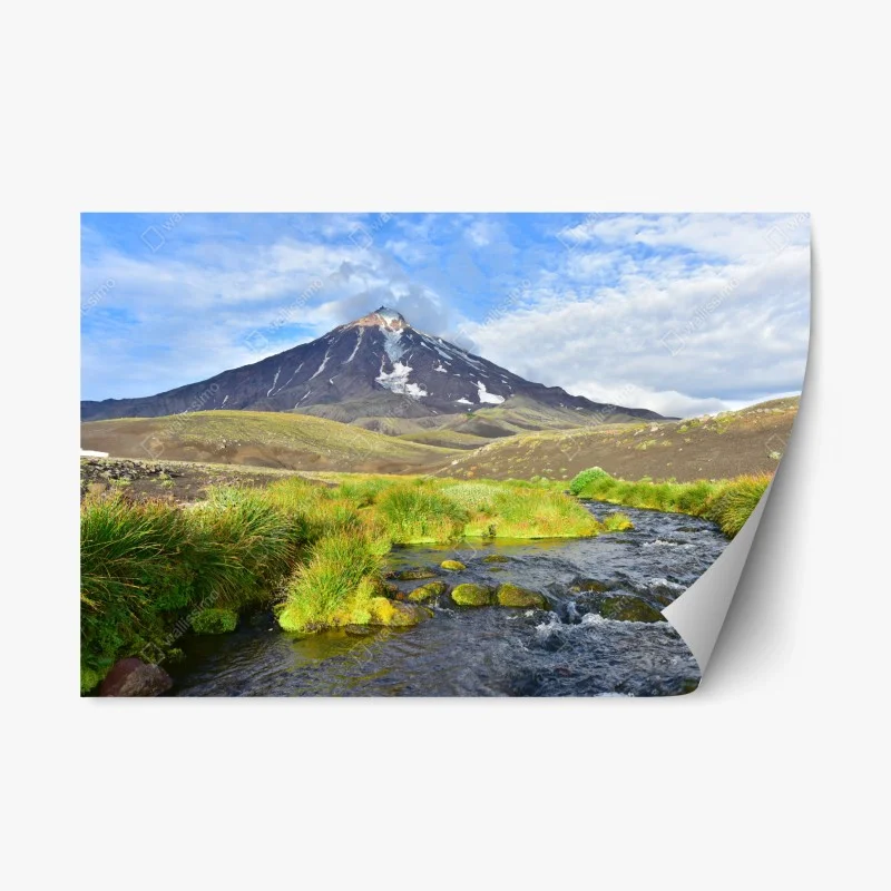 Stickers repositionnables – Wallnifity®