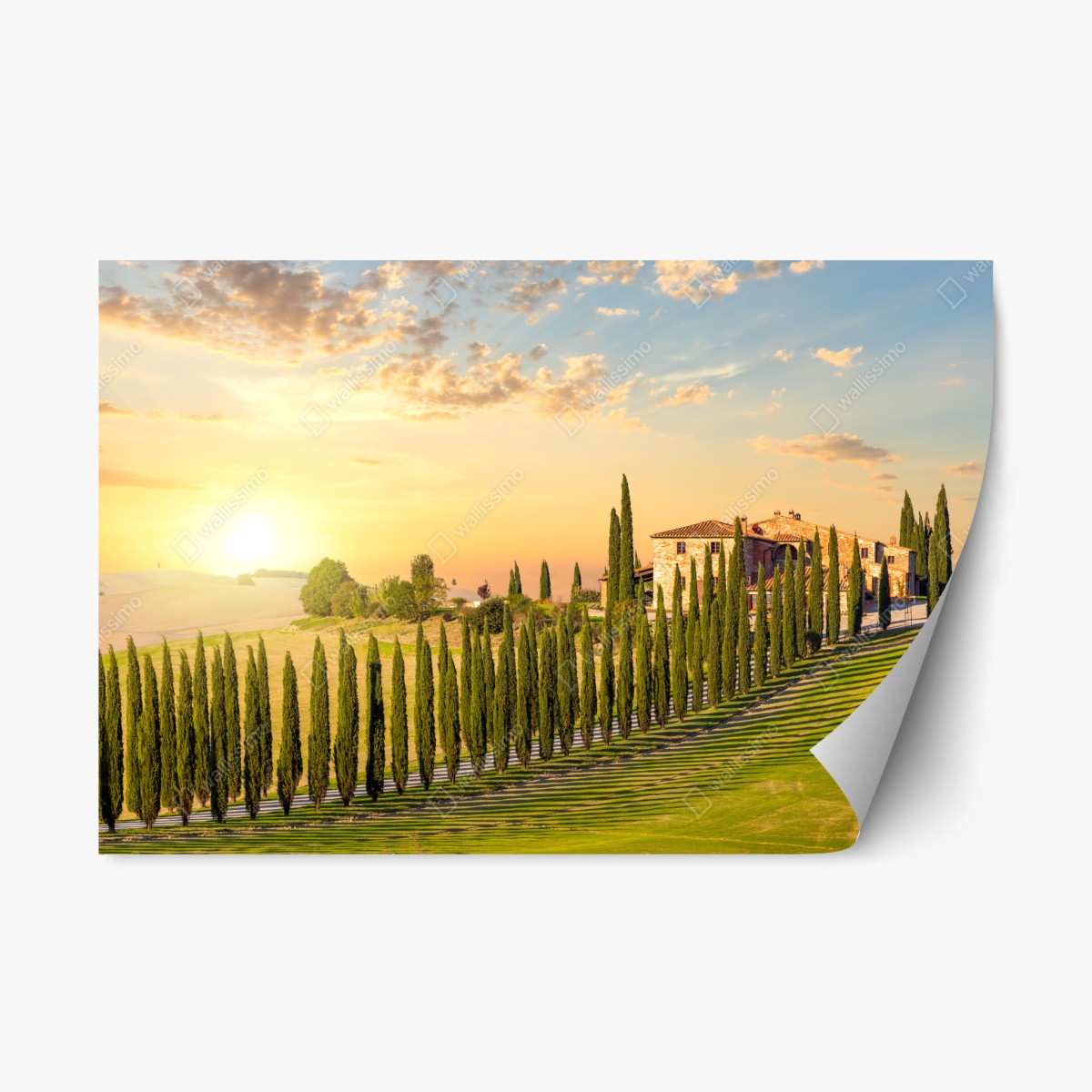 Sticker repositionnable coucher de soleil en Toscane — avenue de cyprès – Wallnifity®