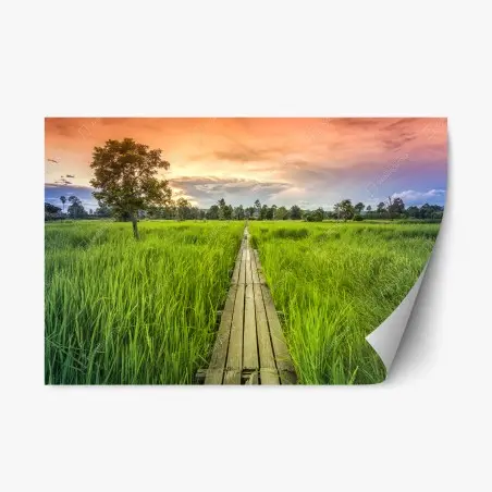 Sticker repositionnable chemin en bois au milieu des rizières – Wallnifity®