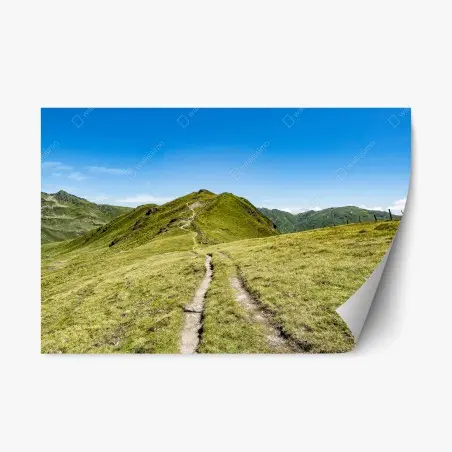 Sticker repositionnable sentier sinueux dans les Alpes de Zillertal – Wallnifity®