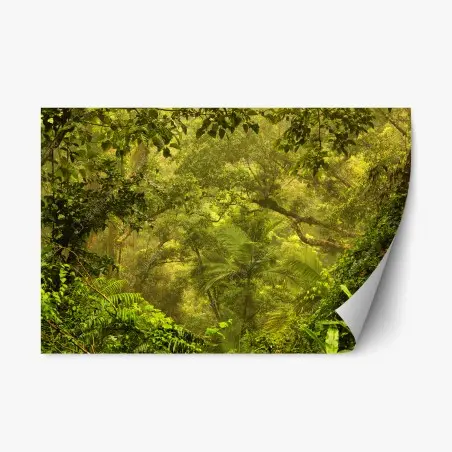 Sticker repositionnable canopée verdoyante de Cairns – Wallnifity®