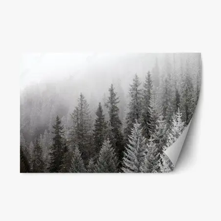 Sticker repositionnable forêt hivernale embrumée des Carpates, Ukraine – Wallnifity®