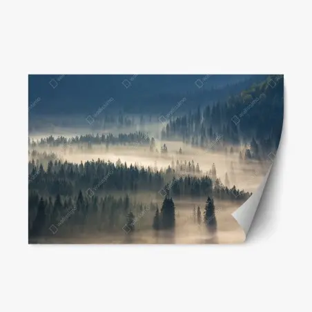 Sticker repositionnable brume matinale sur la forêt de conifères – Wallnifity®