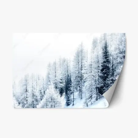 Sticker repositionnable paysage hivernal de forêt enneigée – Wallnifity®