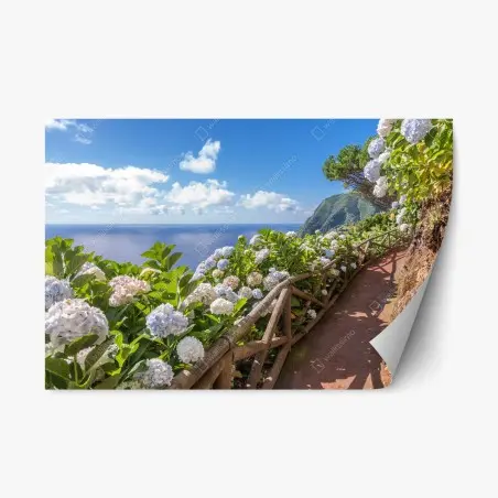 Sticker repositionnable sentier côtier fleuri à São Miguel – Wallnifity®