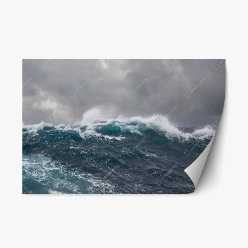 Nature – Wallnifity®