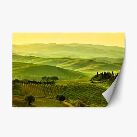Sticker repositionnable collines dorées de la Toscane – Wallnifity®