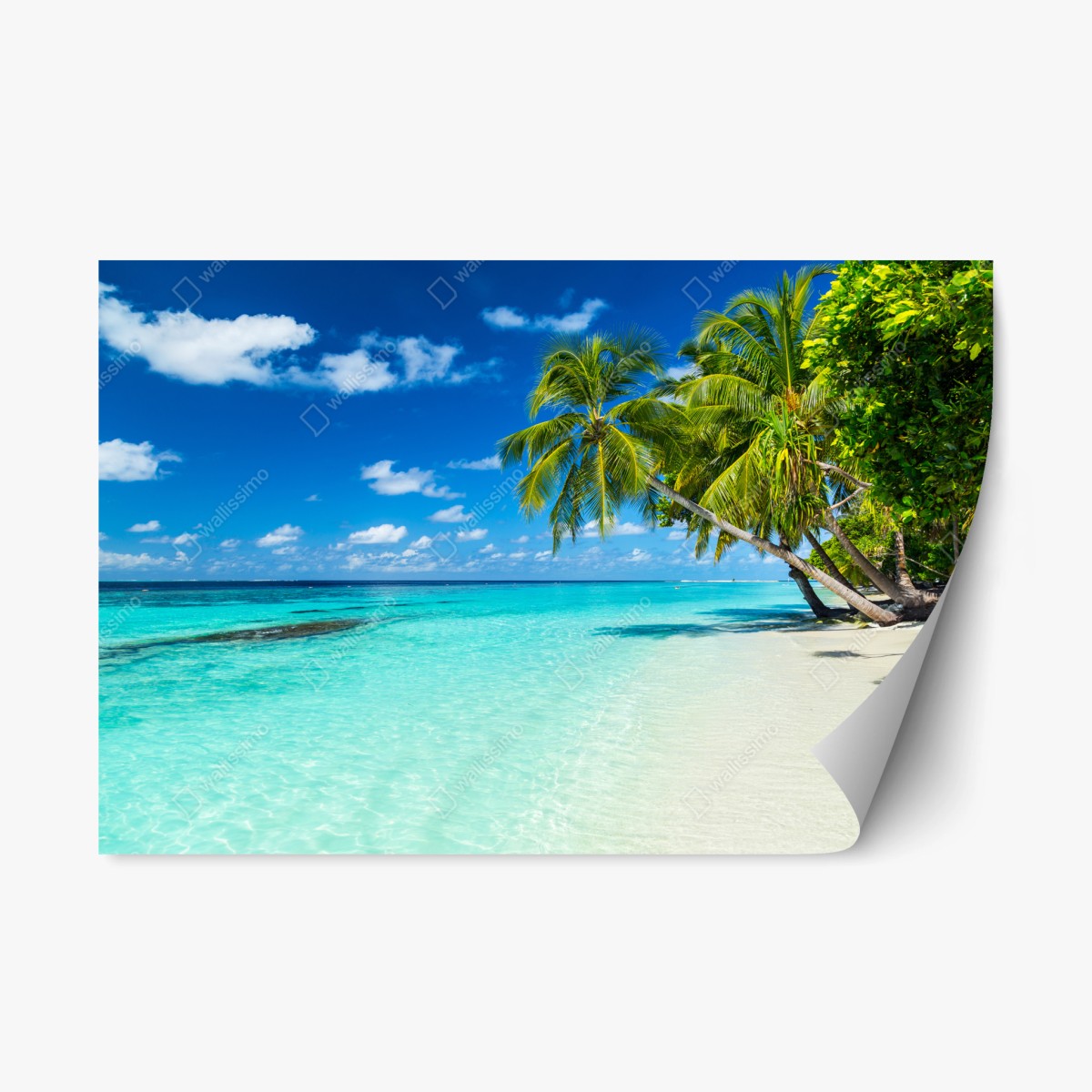 Sticker repositionnable plage tropicale aux palmiers et eau turquoise – Wallnifity®