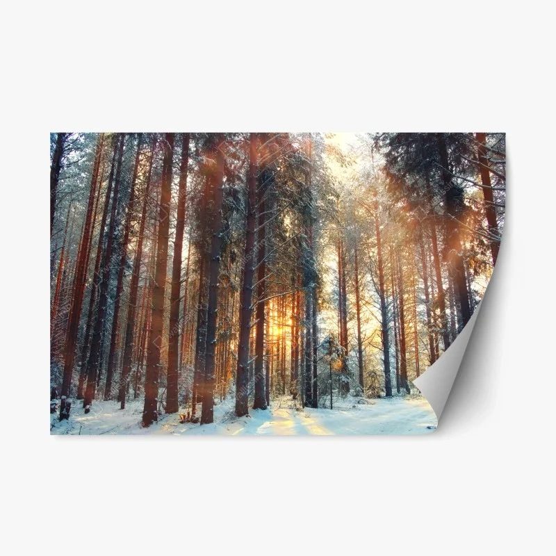 Nature – Wallnifity®