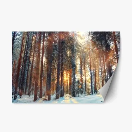 Sticker repositionnable forêt hivernale au lever du soleil – Wallnifity®