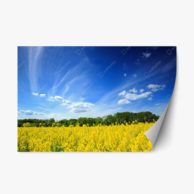Stickers repositionnables – Wallnifity®