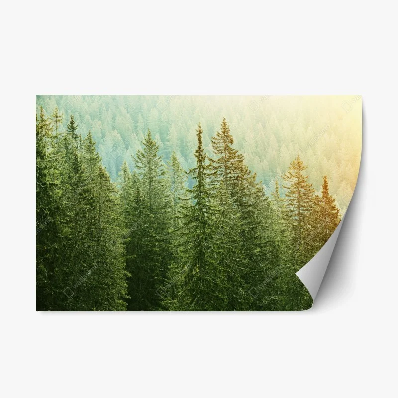 Nature – Wallnifity®