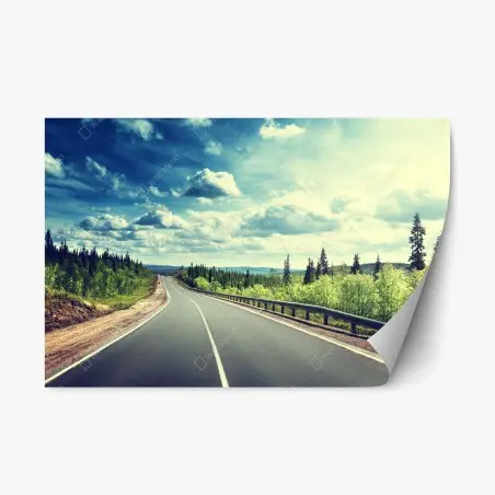 Sticker repositionnable route vers l'horizon dans la forêt boréale – Wallnifity®