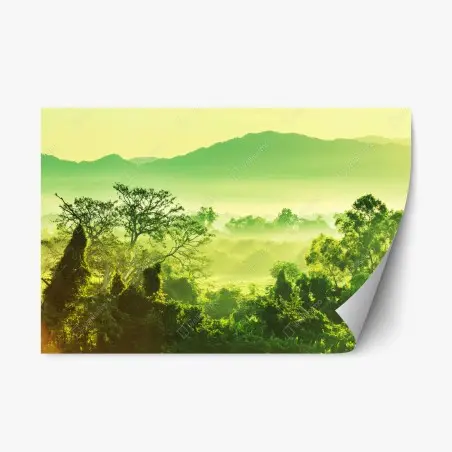 Sticker repositionnable brume tropicale du Mexique – Wallnifity®