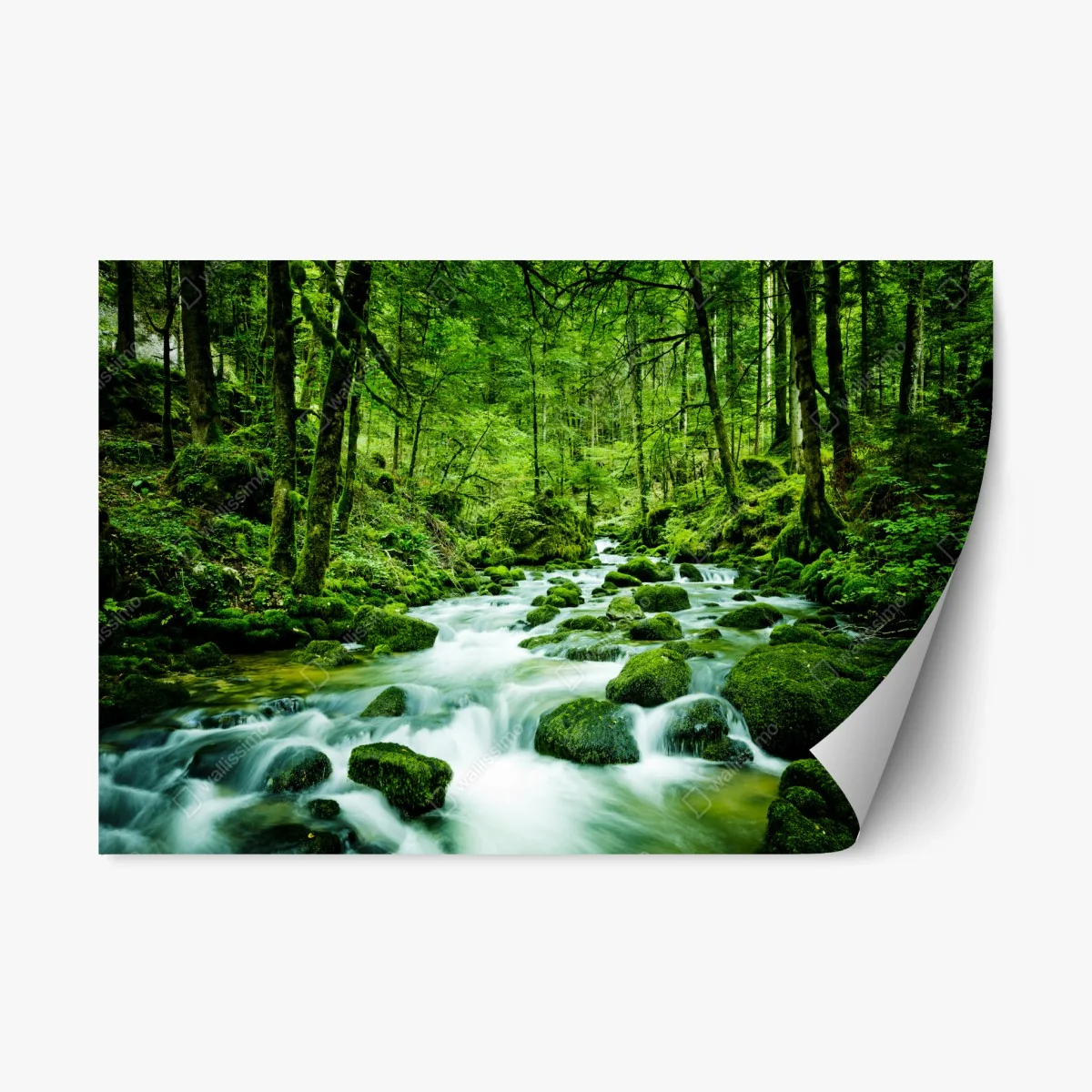 Sticker repositionnable ruisseau moussu en forêt – Wallnifity® Sticker repositionnable ruisseau moussu en forêt – Wallnifity®