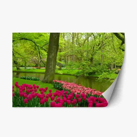 Sticker repositionnable scène printanière de tulipes au bord de l'eau – Wallnifity®