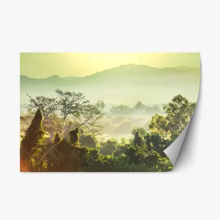 Sticker repositionnable jungle brumeuse du Vietnam – Wallnifity®