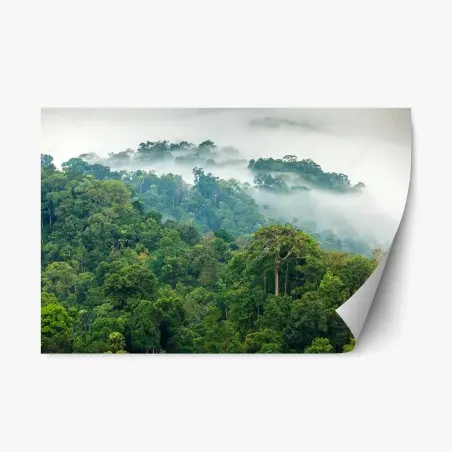 Sticker repositionnable brume matinale sur la forêt tropicale de Kaeng Krachan, Thaïlande – Wallnifity®