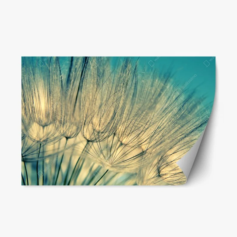 Fleurs et plantes – Wallnifity®