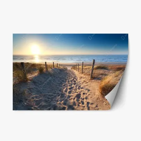 Sticker repositionnable chemin de dunes vers la Mer du Nord, Zandvoort – Wallnifity®