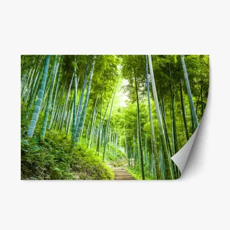 Sticker repositionnable allée de bambous verdoyante – Wallnifity®
