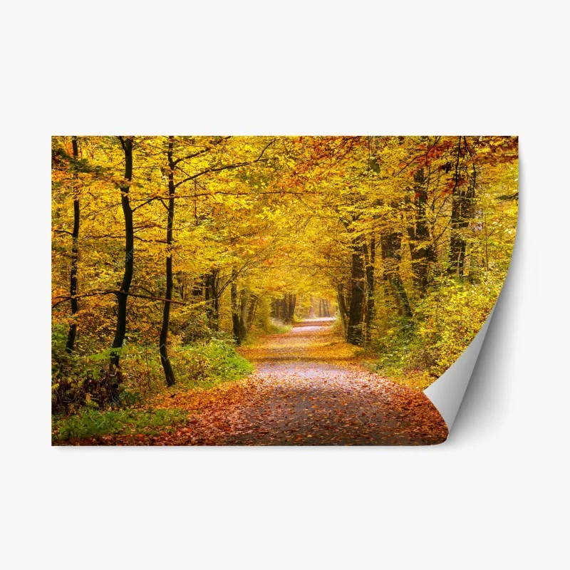 Forêts – Wallnifity®