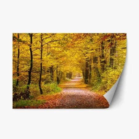 Sticker repositionnable allée forestière aux couleurs d'automne – Wallnifity®