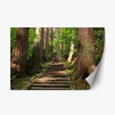 Sticker repositionnable sentier forestier entre arbres centenaires – Wallnifity®