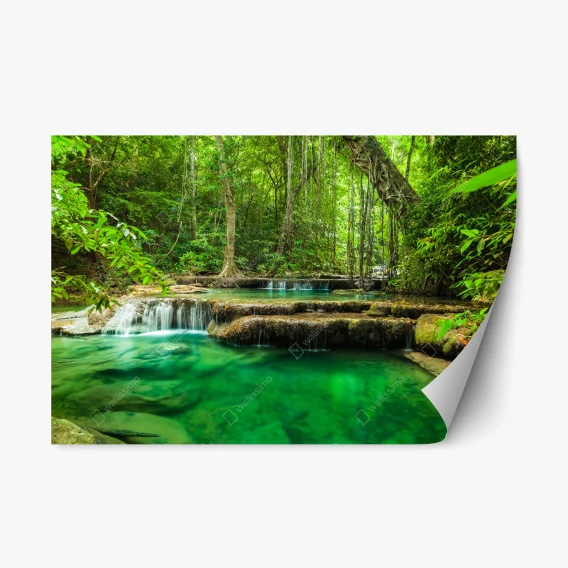 Stickers repositionnables – Wallnifity®