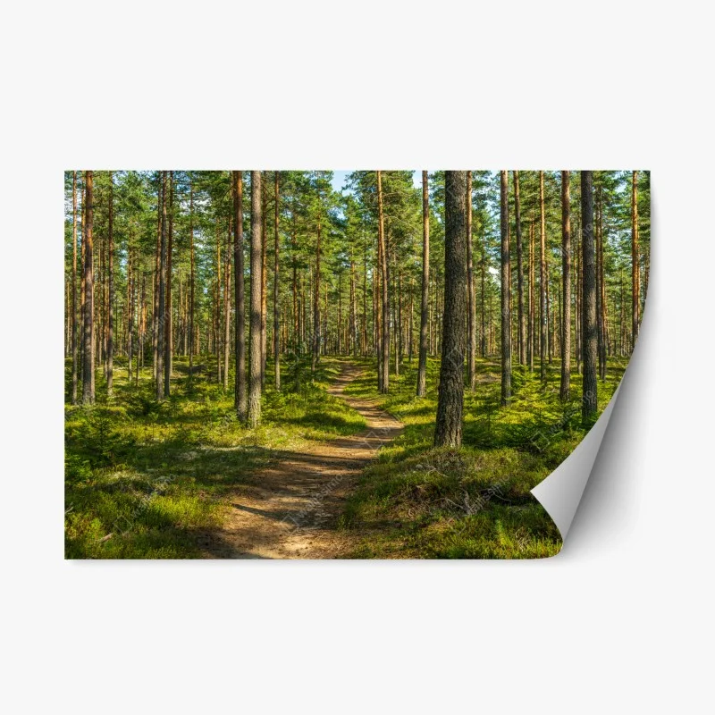 Nature – Wallnifity®