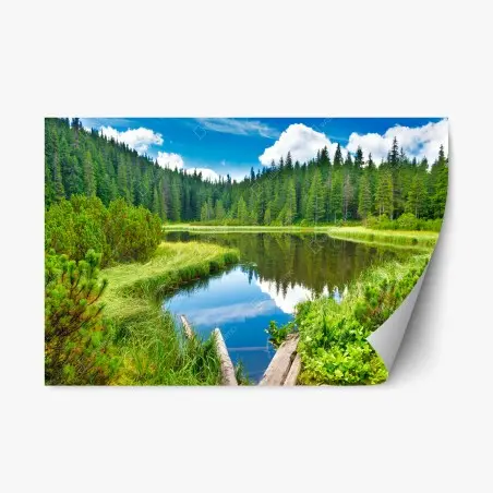 Sticker repositionnable reflets sereins sur le lac forestier – Wallnifity®